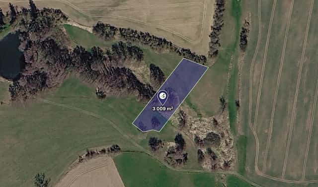 Prodej louky 3 009 m², Buřenice, okres Pelhřimov