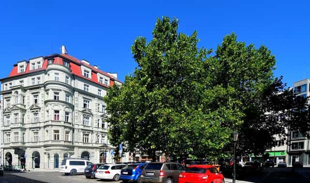 Pronájem bytu 1+1 37 m², Soukenická, Praha 1 – Nové Město