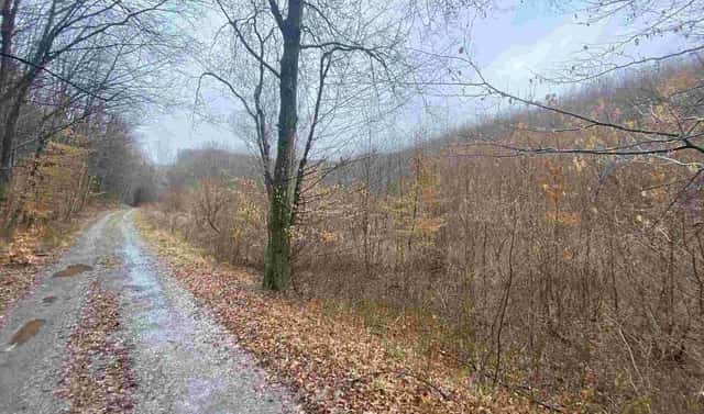 Prodej pole 3 207 m², Ždánice, okres Hodonín