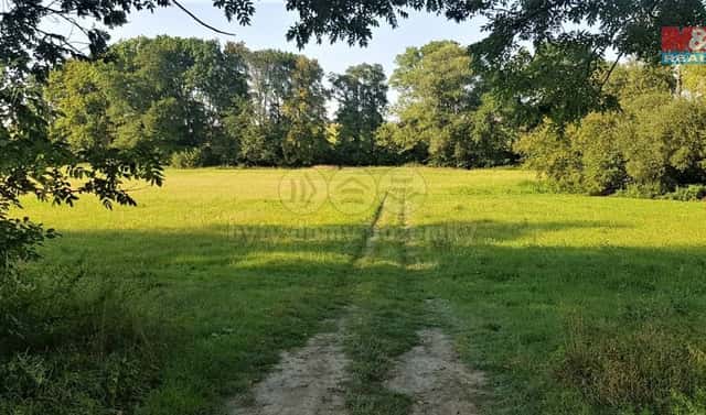 Pronájem zahrady 9 756 m², Opava – Zlatníky