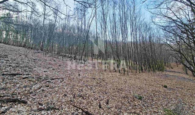 Prodej louky 10 301 m², Jílové u Prahy, okres Praha-západ