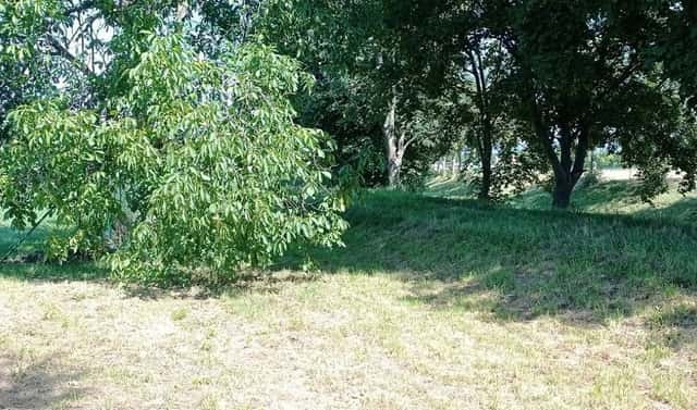 Prodej komerčního pozemku 1 200 m², Stromořadí, Uničov, okres Olomouc