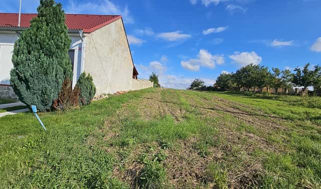 Prodej stavebního pozemku 2 691 m², Skoronice, okres Hodonín