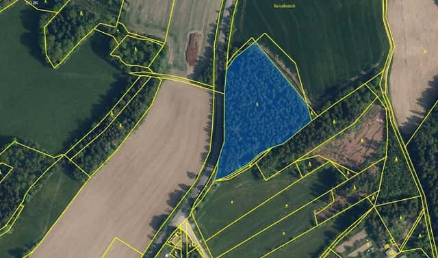 Prodej lesa 6 790 m², Dalešice – Potok, okres Jablonec nad Nisou