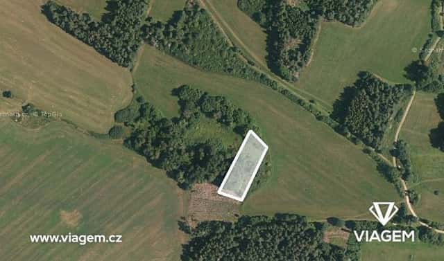 Prodej lesa 1 232 m², Chanovice, okres Klatovy