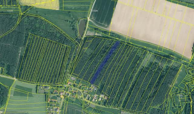 Prodej lesa 5 161 m², Dražíč, okres České Budějovice