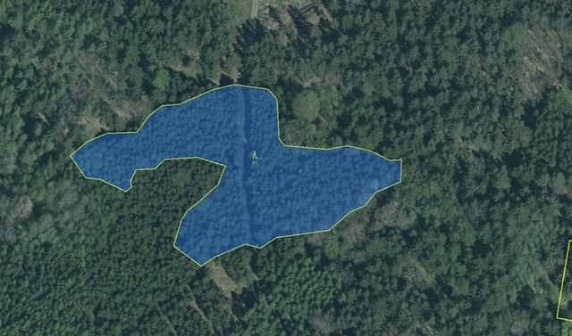 Prodej lesa 1 057 m², Louňová – Nýřany, okres Plzeň-jih
