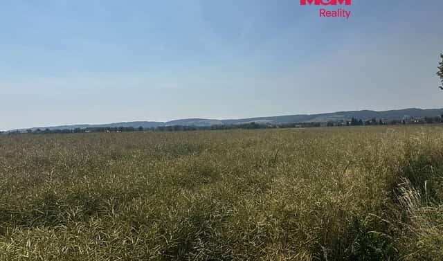 Prodej pole 244 621 m², Město Albrechtice, okres Bruntál