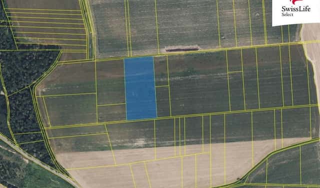 Prodej pole 18 365 m², Vysoké Mýto, okres Ústí nad Orlicí