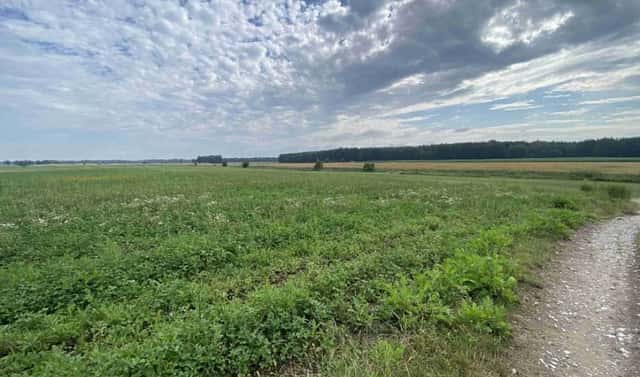 Prodej pole 16 506 m², Lomnice nad Lužnicí, okres Jindřichův Hradec