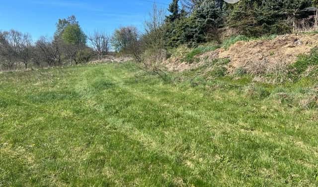 Prodej stavebního pozemku 3 780 m², Bruntál