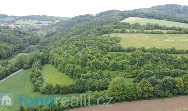 Prodej pozemku 30 636 m², Skorotice, okres Žďár nad Sázavou