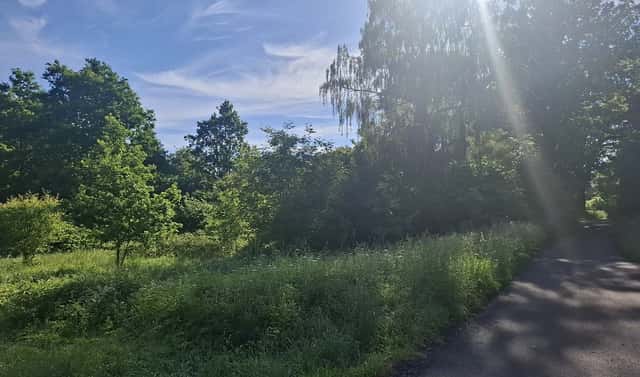 Prodej stavebního pozemku 2 930 m², Jiříkov – Filipov, okres Děčín