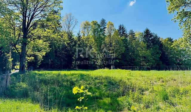 Prodej stavebního pozemku 3 100 m², Tři Sekery – Chodovská Huť, okres Cheb