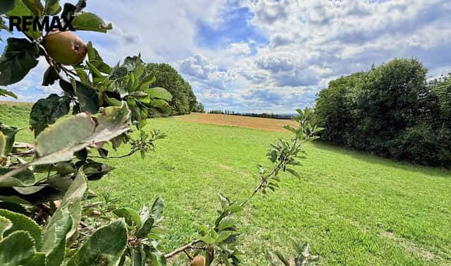Prodej stavebního pozemku 2 585 m², Jedlá, okres Havlíčkův Brod