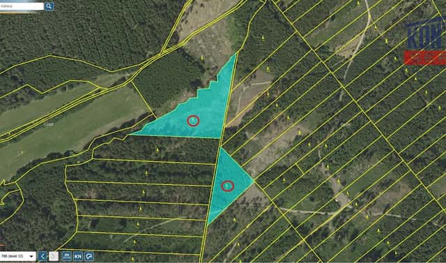 Prodej lesa 70 821 m², Jevíčko, okres Svitavy