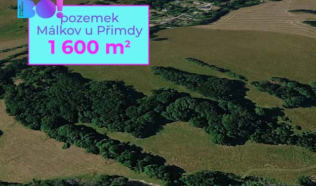 Prodej pole 1 600 m², Přimda, okres Tachov