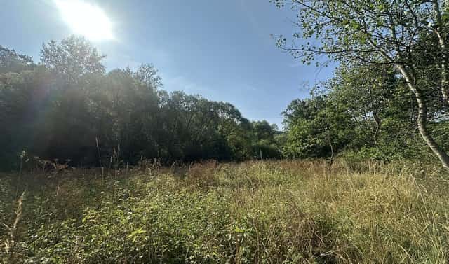 Prodej pozemku 3 546 m², Kaplice – Blansko, okres Český Krumlov