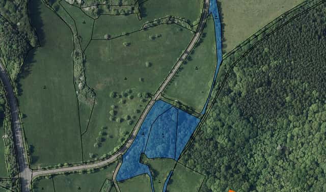 Prodej lesa 7 092 m², Žim, okres Teplice
