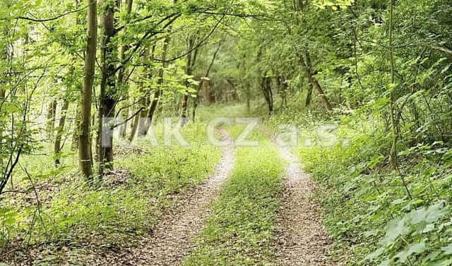 Prodej pozemku 47 568 m², Černíky, okres Kolín