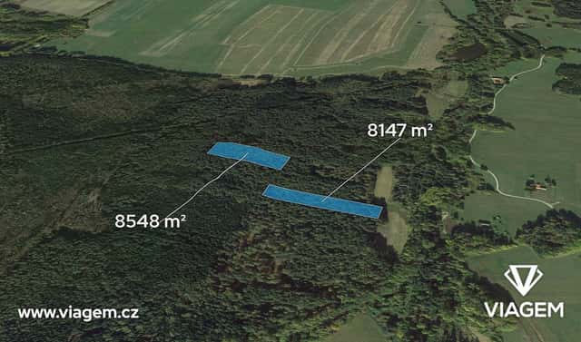 Prodej lesa 13 912 m², Suchdol nad Lužnicí, okres Jindřichův Hradec