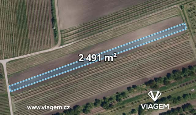 Prodej pole 2 491 m², Velké Pavlovice, okres Břeclav
