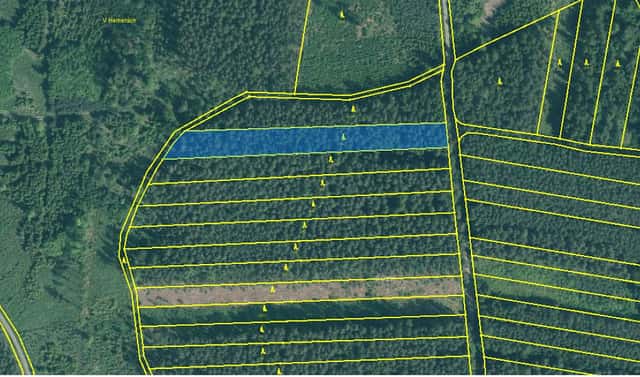 Prodej lesa 4 751 m², Bechyně – Hvožďany, okres Tábor