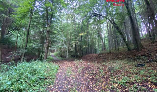 Prodej louky 2 261 m², Strážná, okres Ústí nad Orlicí
