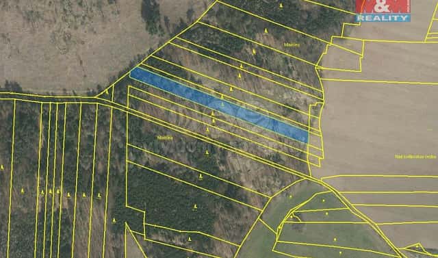 Prodej lesa 3 290 m², Stehlovice, okres Písek