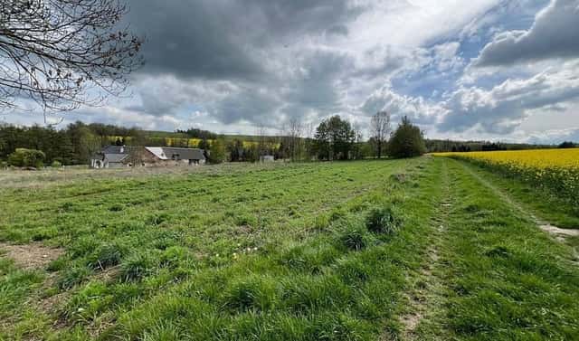 Prodej stavebního pozemku 3 978 m², Rudná pod Pradědem, okres Bruntál