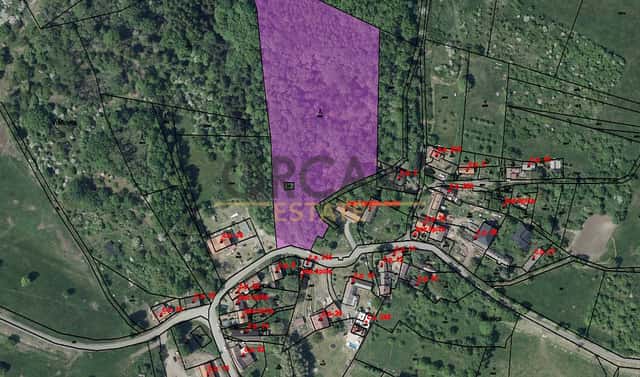 Prodej lesa 15 940 m², Třebívlice, okres Litoměřice