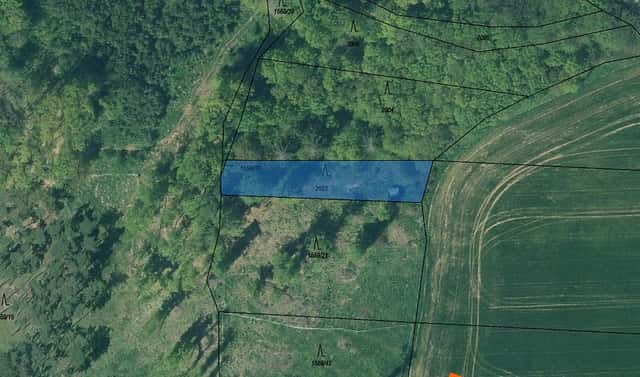 Prodej lesa 296 m², Břasy, okres Rokycany