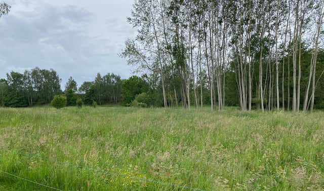 Prodej stavebního pozemku 1 344 m², Varnsdorf, okres Děčín