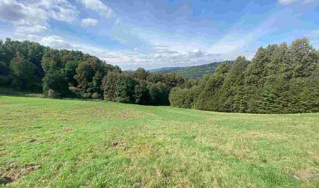 Prodej pozemku 10 593 m², Sobotín, okres Šumperk