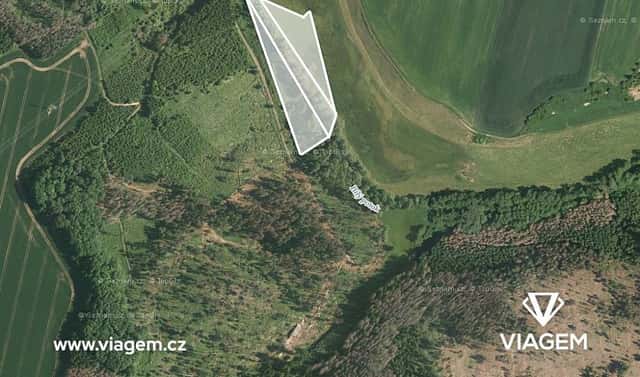 Prodej lesa 1 431 m², Velká Bíteš, okres Žďár nad Sázavou