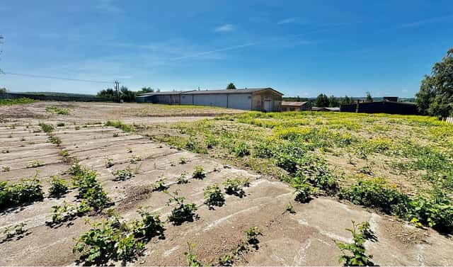 Prodej komerčního pozemku 10 000 m², Řídký, okres Svitavy