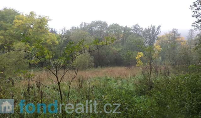 Prodej zahrady 1 281 m², Biskupice-Pulkov, okres Třebíč