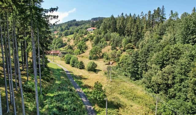 Prodej komerčního pozemku 15 955 m², Žihobce – Šimanov, okres Klatovy