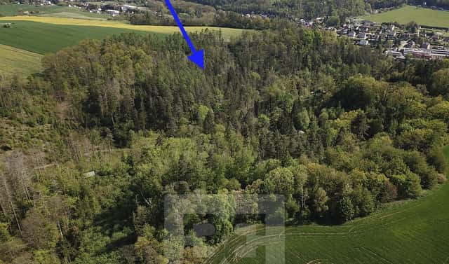 Prodej lesa 4 369 m², Chocerady, okres Benešov