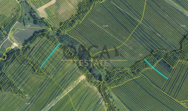 Prodej pole 6 356 m², Mistřice, okres Uherské Hradiště