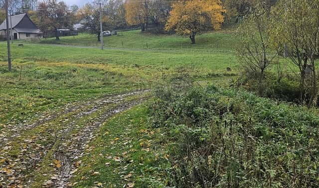 Prodej louky 1 636 m², Hanušovice – Vysoké Žibřidovice, okres Šumperk