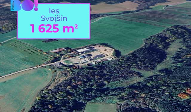 Prodej lesa 1 625 m², Svojšín, okres Tachov
