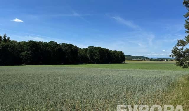 Prodej pole 7 494 m², Ledce, okres Hradec Králové
