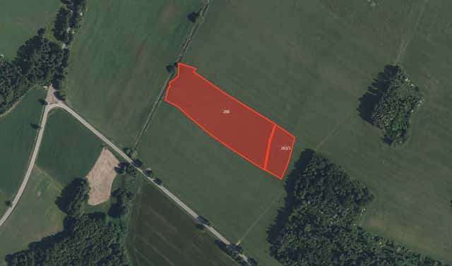 Prodej louky 53 523 m², Volfířov – Šach, okres Jindřichův Hradec