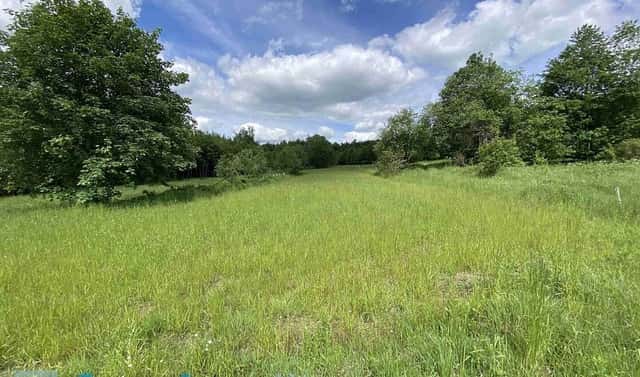 Prodej pozemku 7 893 m², Slavonice – Stálkov, okres Jindřichův Hradec