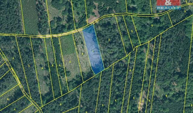 Prodej lesa 5 033 m², Jetětice, okres Písek