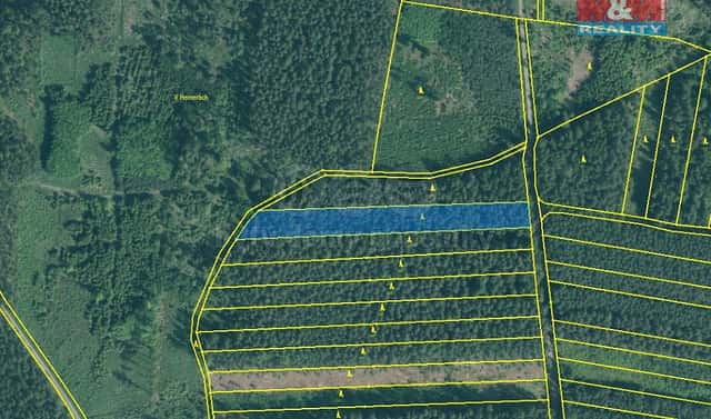 Prodej lesa 4 751 m², Bechyně – Hvožďany, okres Tábor