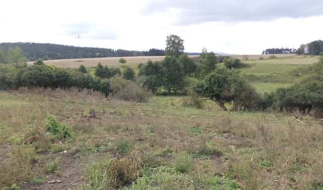 Prodej pole 3 504 m², Tachov