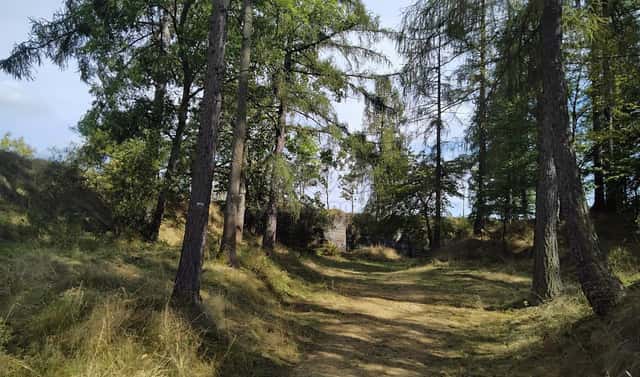 Prodej pozemku 13 529 m², Razová, okres Bruntál