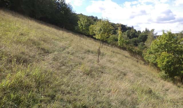 Prodej pozemku 1 711 m², Řehlovice – Stadice, okres Ústí nad Labem